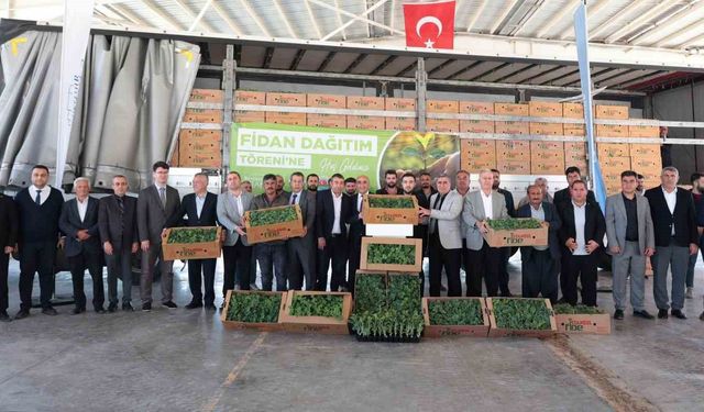 Arabanlı karpuz üreticilerine yüzde 50 hibeli fide desteği