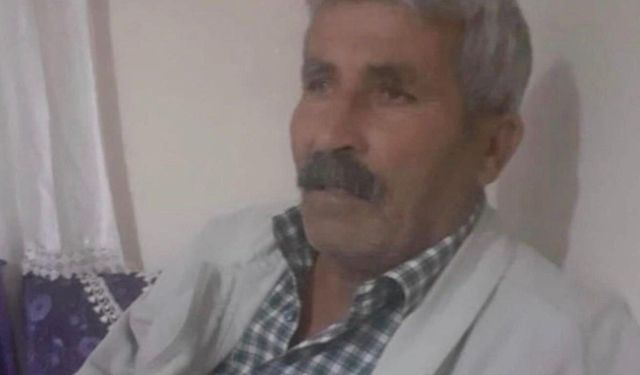 Diyarbakır'da ineğinin peşinden koşan adama araç çarptı