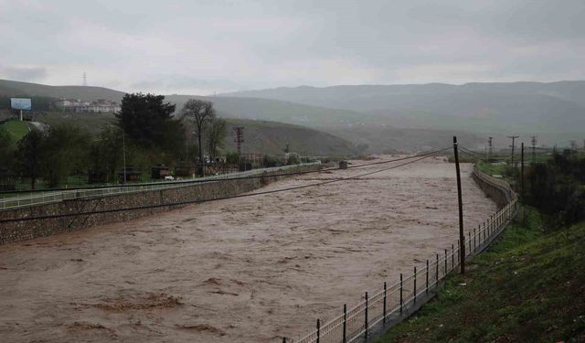 Siirt'te sel bilançosu: 400 e yakın hayvan telef oldu