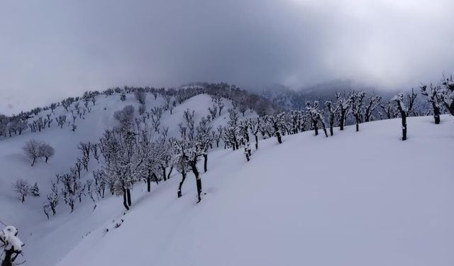 Batman’da nisan ortasında kar yağışı: Besiciler zor durumda
