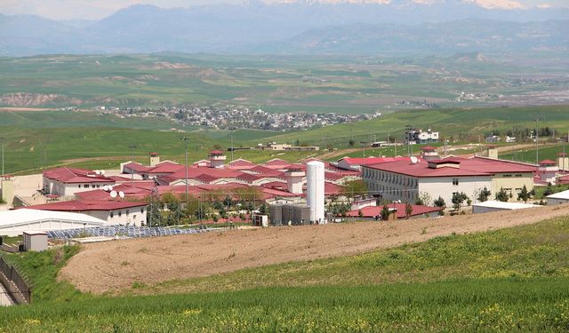 Beşiri Cezaevi'nin su sorunu için yeni kuyular açıldı