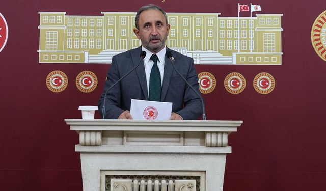 Bingöl, Siirt ve Şırnak’ın sorunları Meclis’e taşındı