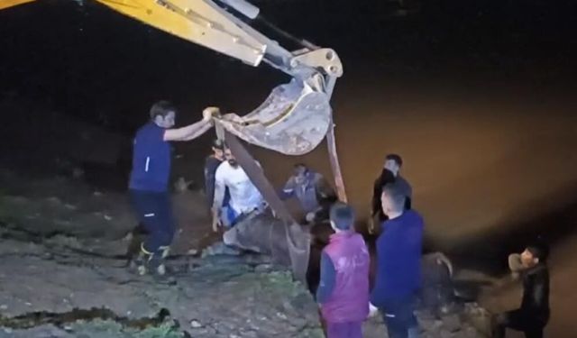 Dicle Nehri'ne düşen inek iş makinesiyle kurtarıldı