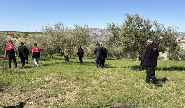Dolu yağışı ağaçlara zarar verdi; Hasar tespit çalışmaları başladı
