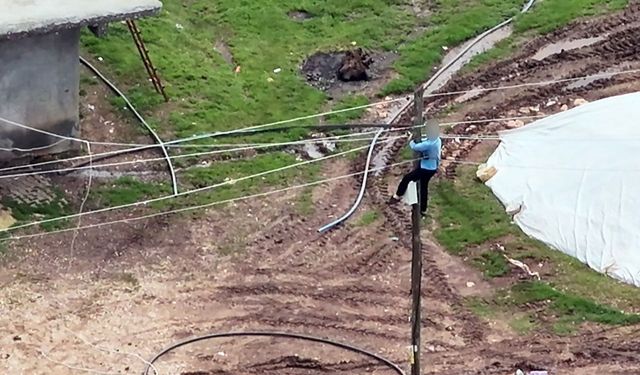 Hazro'da ilginç anlar: Dronu gören şahıs direğe tırmandı