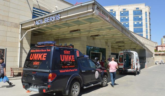 Dut toplarken 6 metreden düşen şahıs ağır yaralandı