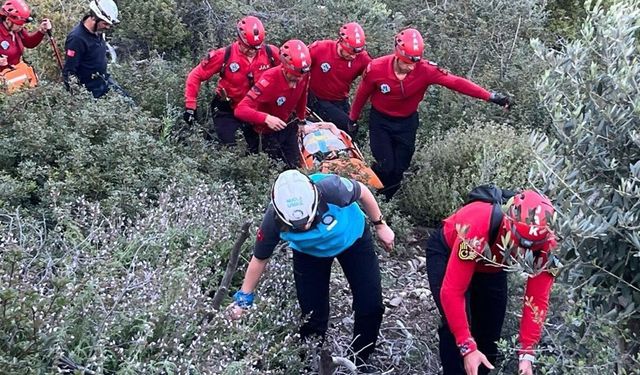 Jandarma: JAK ve SAK timlerimiz 23 olaya müdahale etti