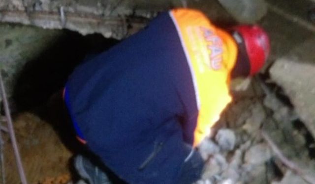 Mardin'de ahır çöktü: 2 büyükbaş hayvan telef oldu