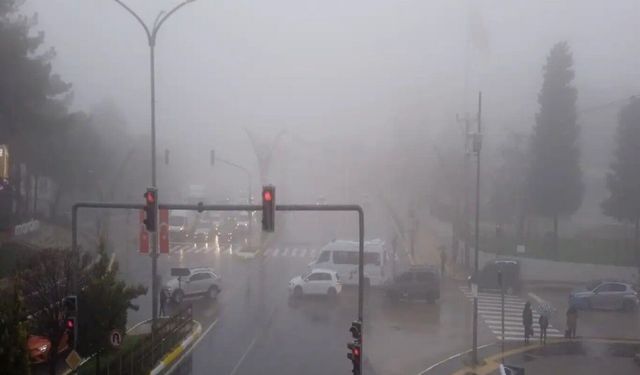 Mardin’de yoğun sis etkili oldu