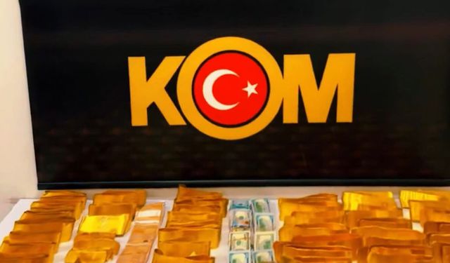 Şırnak'ta 590 milyon lira değerinde kaçak altın ve döviz ele geçirildi