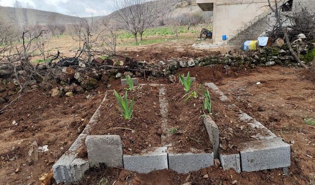 Öldürülen anne ve oğul Mardin’de yan yana defnedildi
