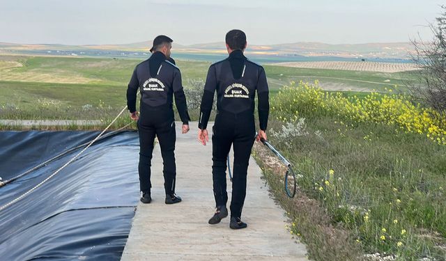 Şanlıurfa’da gölete düşen tilki kurtarıldı