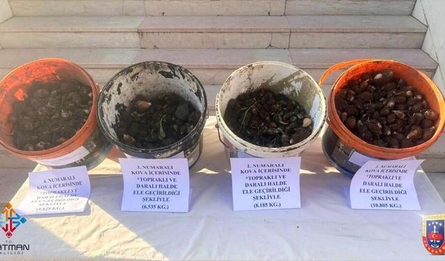 Sason'da kaçak salep sökümüne ağır ceza: 2 milyon 800 bin lira