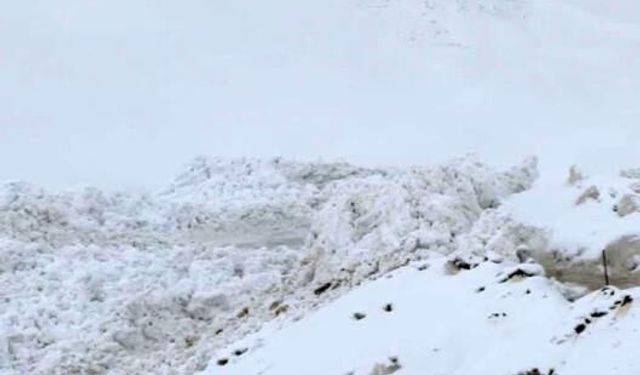Şırnak'ta ilkbaharda kar yağışı: 2 bin 200 rakımda ikinci çığ yaşandı