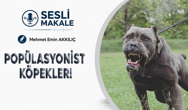 POPÜLASYONİST KÖPEKLER!