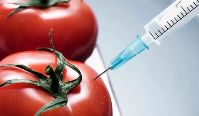 GDO denetiminde yeni dönem başladı