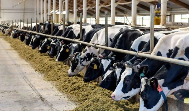 IPARD III kapsamında 218 projeye 2,5 milyar TL hibe desteği