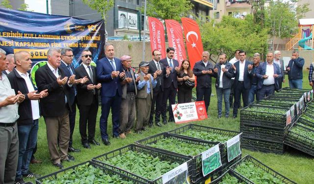 Şırnak'ta 252 üreticiye sebze fidesi dağıtıldı