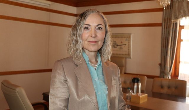 Av. Meltem Zorba: Sokakta sıfır başıboş köpek ortamı sağlanmalı