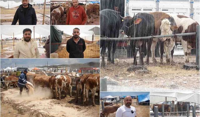 Besicilerin kurban pazarındaki zorlu mesaisi