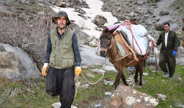 Dağ bayır geziyorlar; Beytüşşebap'ta pancar mesaisi başladı