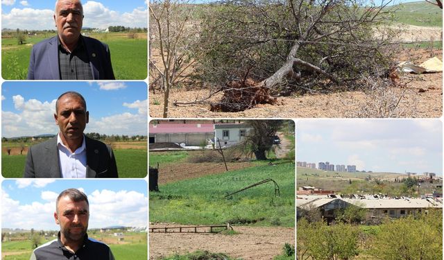 Fırtınadan etkilenen Gaziantepli çiftçiler destek bekliyor