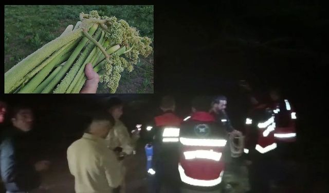 Diyarbakır'da ışkın toplamaya gitti, başına gelmeyen kalmadı