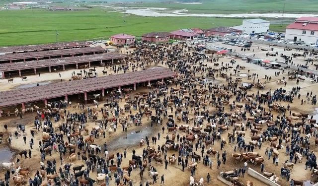 Kurbanlıklar görücüye çıktı; Fiyatlar dudak uçuklatıyor