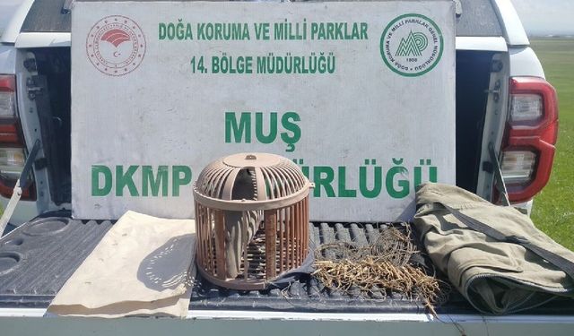 Muş'ta keklik avlayan şahsa 53 bin lira ceza kesildi