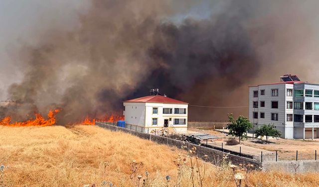 Diyarbakır'da buğday tarlasında yangın: Ekinler kül oldu