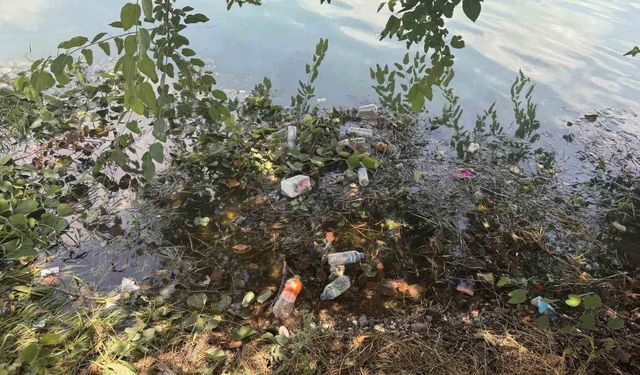 Seyhan Nehri çöpe teslim: Adana'nın gözbebeğindeki kirliliğe tepki