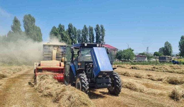 Muş'ta kavurucu sıcakta kış hazırlığı
