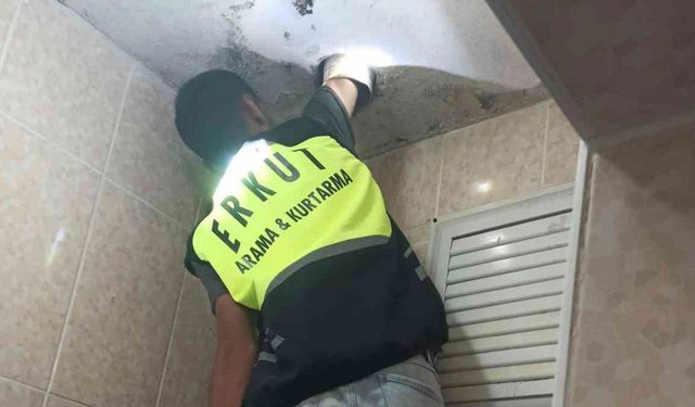 Siirt'te lavabo borusuna sıkışan yavru kedi kurtarıldı