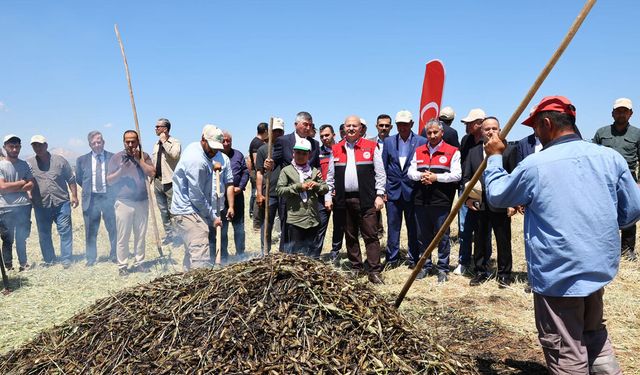 Adıyaman'da firik buğdayı hasadı başladı