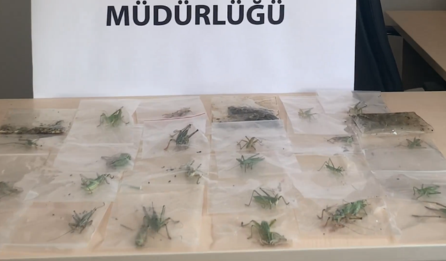 Nemrut Dağı’nda 3 kişiye 2 milyon lirayı aşan ceza