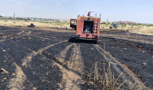 40 dönüm buğday ekili alan yangında zarar gördü