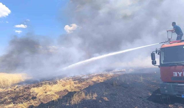 Alevler emeği küle çevirdi: 150 dönüm buğday tarlası yandı