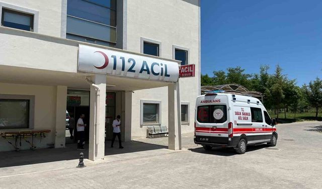 Besni'de otomobil şarampole yuvarlandı: 2 yaralı