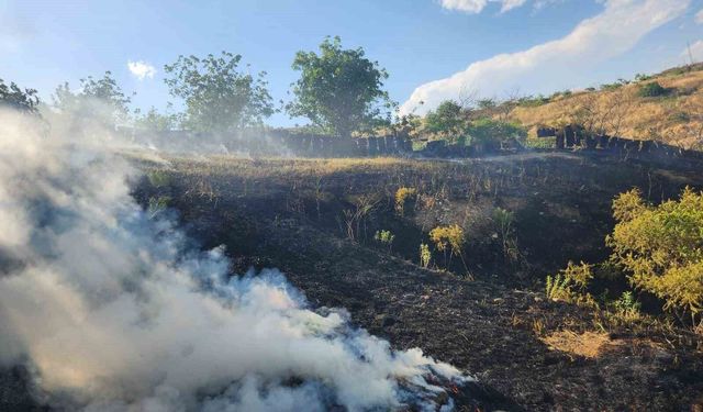 Siirt'te otluk alanda çıkan yangın fıstık ve üzüm bağlarına sıçradı