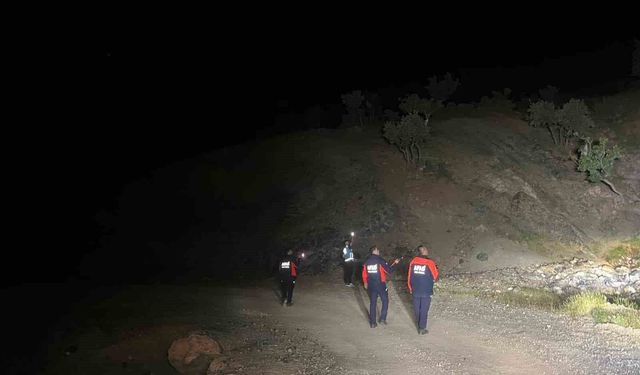 Siirt'te kaybolan çoban için arama çalışmaları başlatıldı
