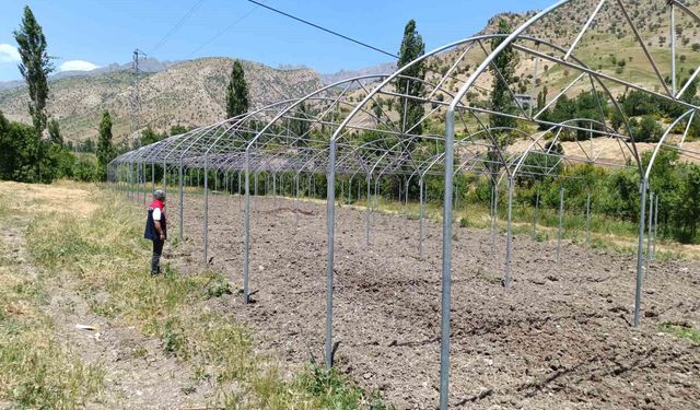 Şırnak'ta sera yatırımları yerinde incelendi