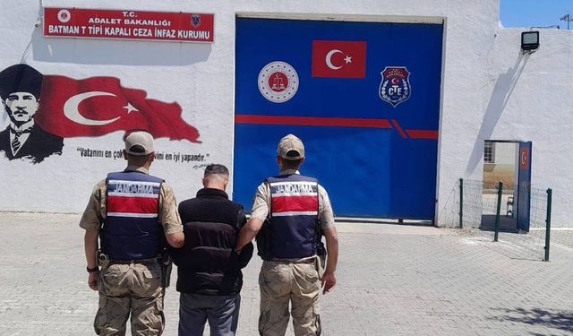 Batman'da iki ayrı operasyonda binlerce kök kenevir ele geçirildi