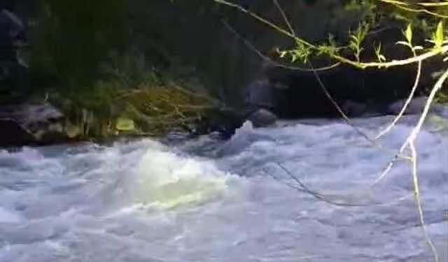 Bingöl’de nehirde kaybolan şahıs için arama çalışması başlatıldı