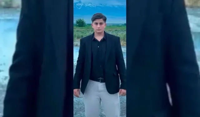 Büyükbaş hayvanın darbesiyle ağır yaralanan genç öldü
