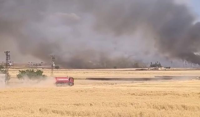 Diyarbakır'a sınır ilde 400 dönüm arazi kül oldu