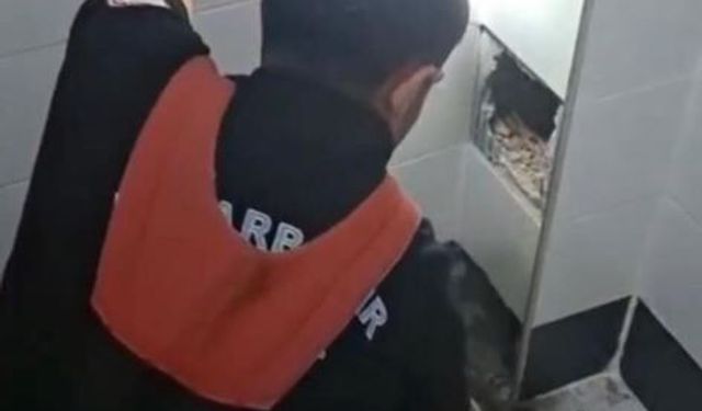 Diyarbakır'da itfaiye havalandırma boşluğunda kalan kedi için seferber oldu