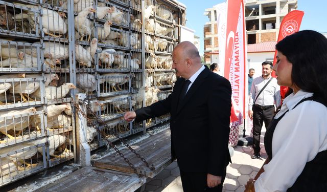 Adıyaman’da 150 aileye canlı tavuk ve horoz desteği