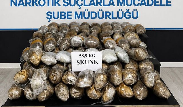 Hakkari'de 59 kilo skunk ele geçirildi