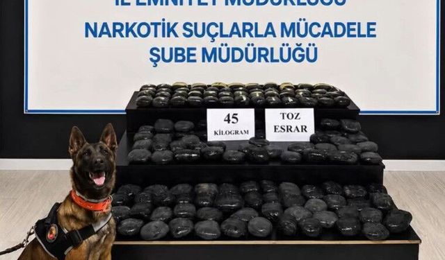 Hakkari'de aranan şahıs 45 kilo narkotik ile yakalandı