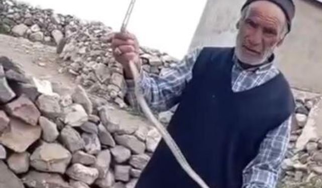 Iğdır'da eve girmeye çalışan yılanı çıplak elle yakaladı